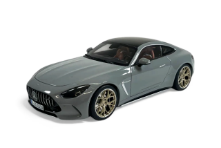 Mercedes-AMG GT 63 alpin grey 1:12 NZG