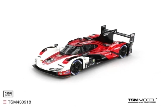 Porsche 963 #7 Porsche Penske Motorsport Winner 24H Daytona 2024 1:43 TSM Model