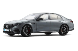 Mercedes-AMG E 53 Hybrid 4Matic+ alpin grey uni 1:18 NZG