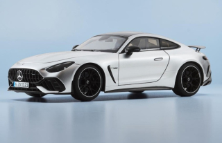 Mercedes-AMG GT 63 Pro 4Matic+ hightech silver metallic 1:18 NZG